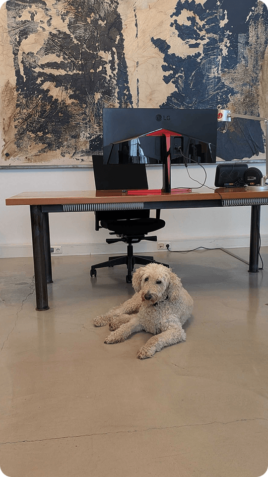 Foto eines Hundes im Büro